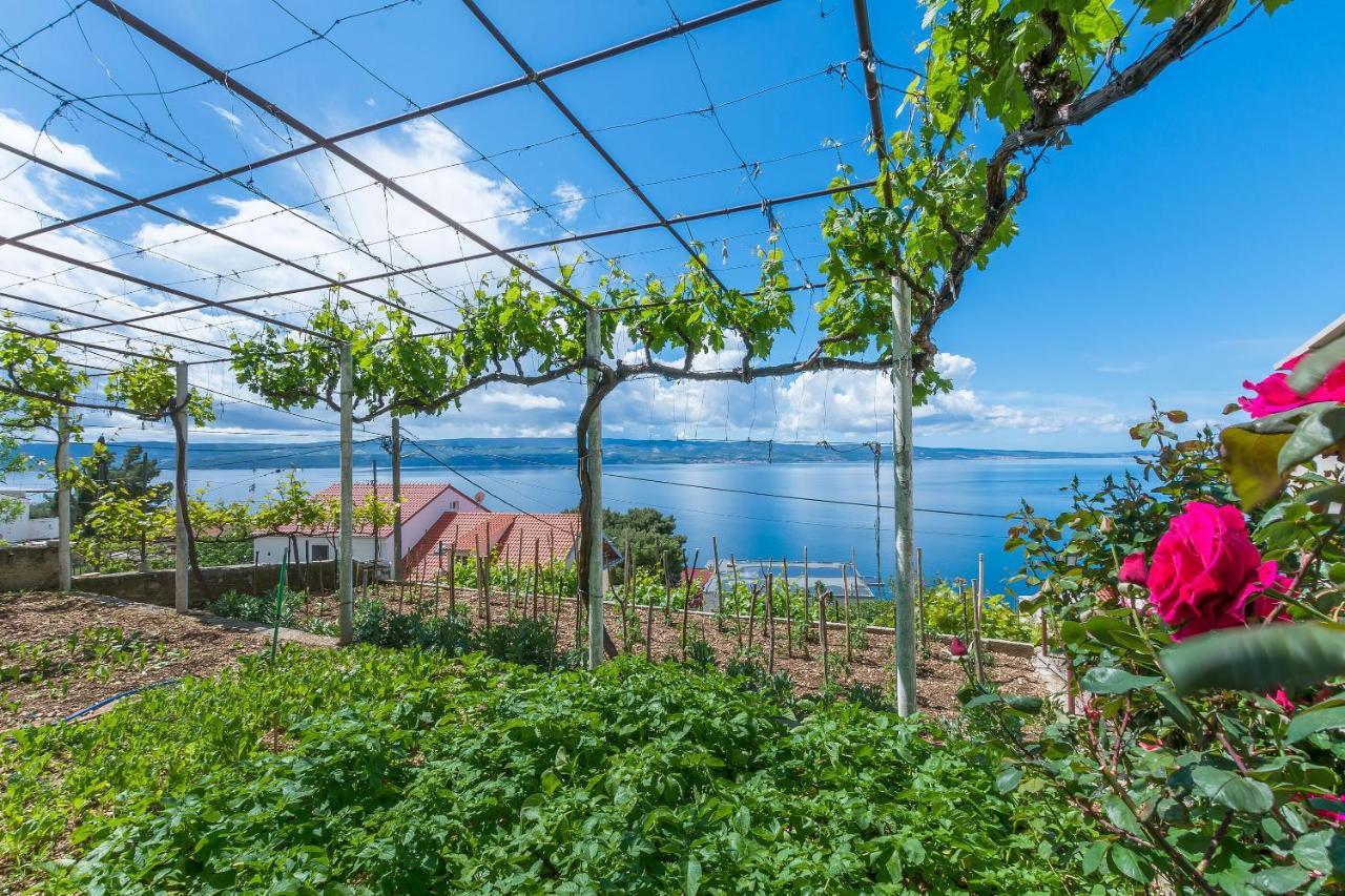 Apartments Jasna Omiš Dış mekan fotoğraf
